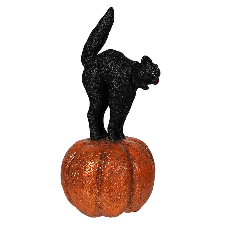 Cat on Pumpkin