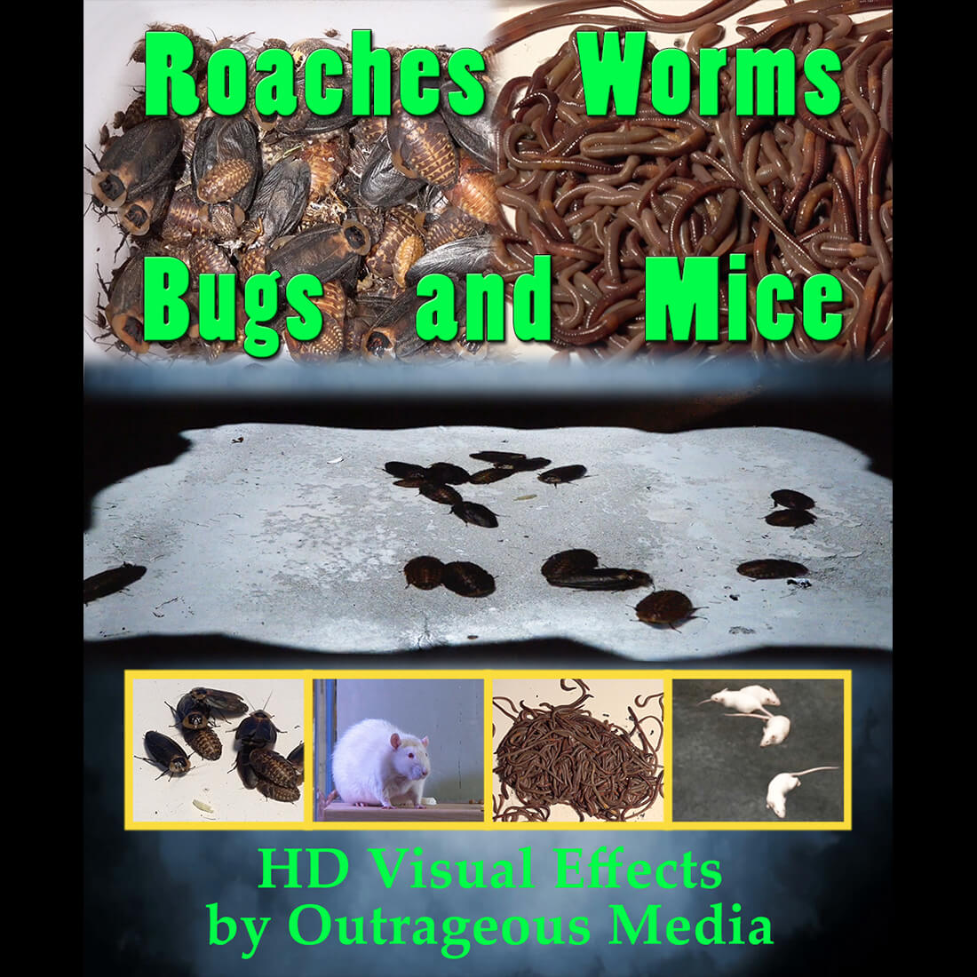 Roaches, Worms, Bugs & Mice Projection USB