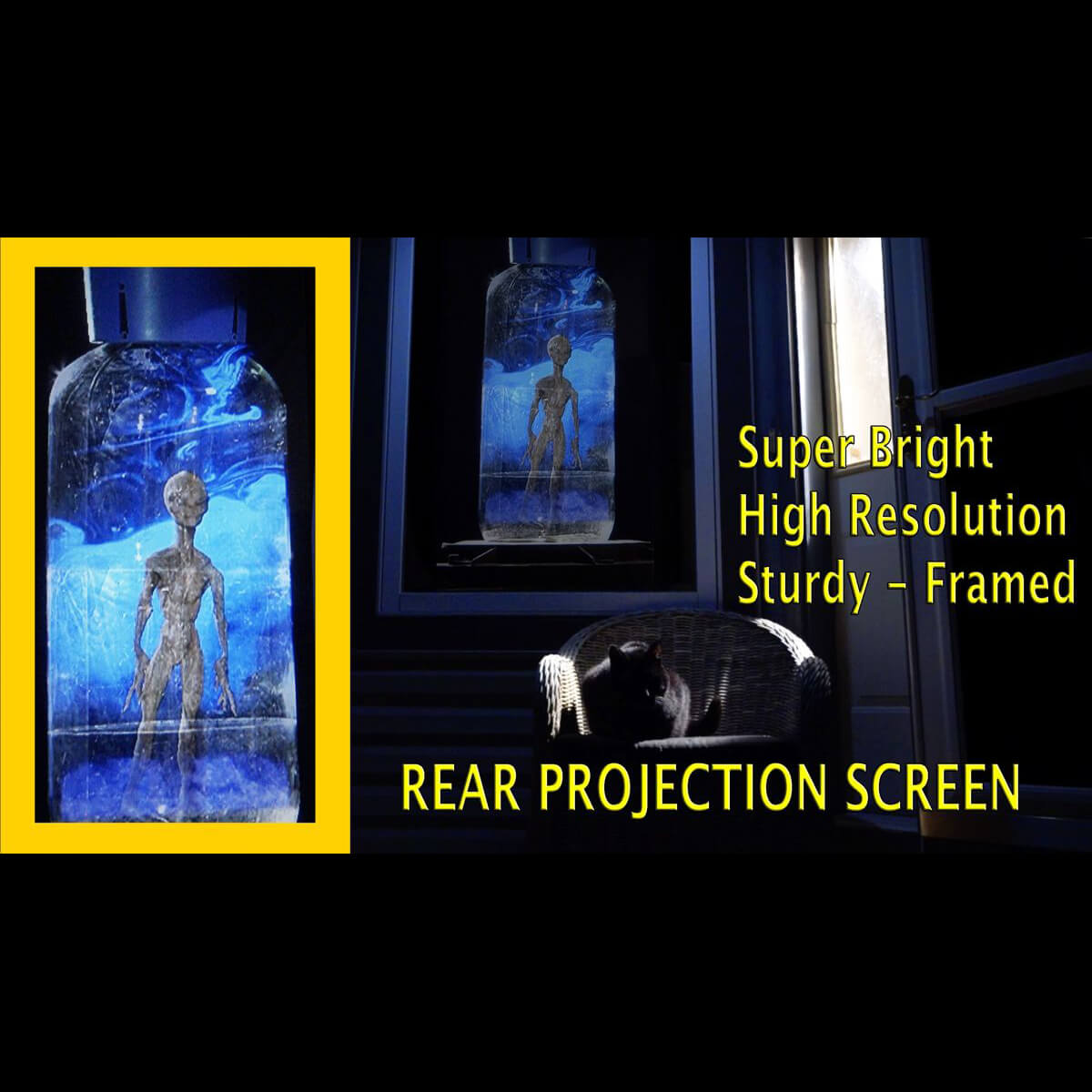 Pro Rear Projection Screen