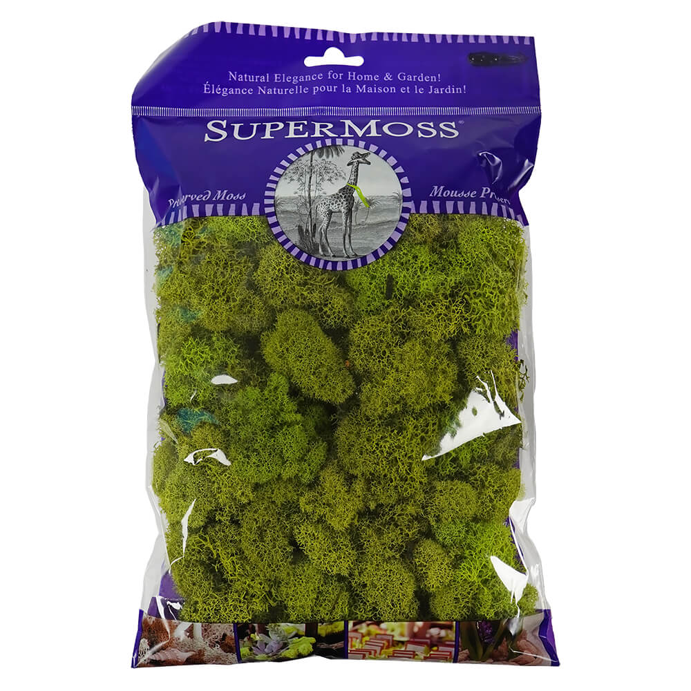 Chartreuse Preserved Reindeer Moss