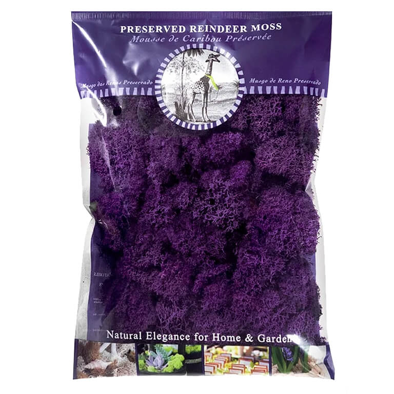 Purple Preserved Reindeer Moss