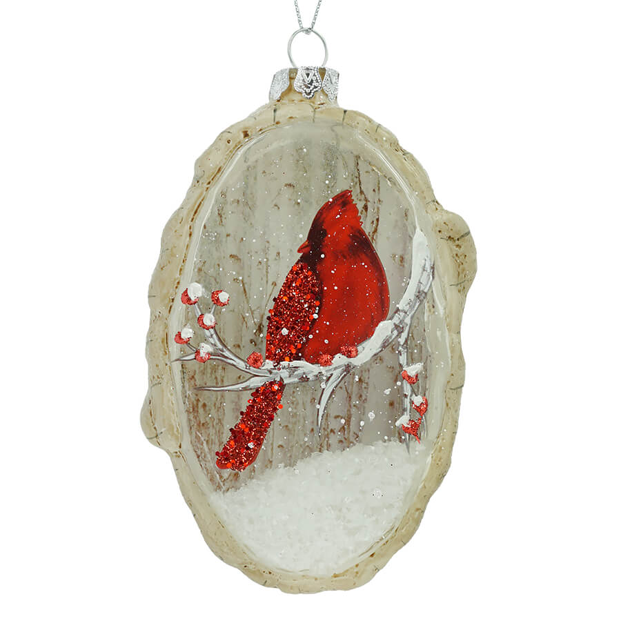 Birch Berry Cardinal On Oval Disc Ornament