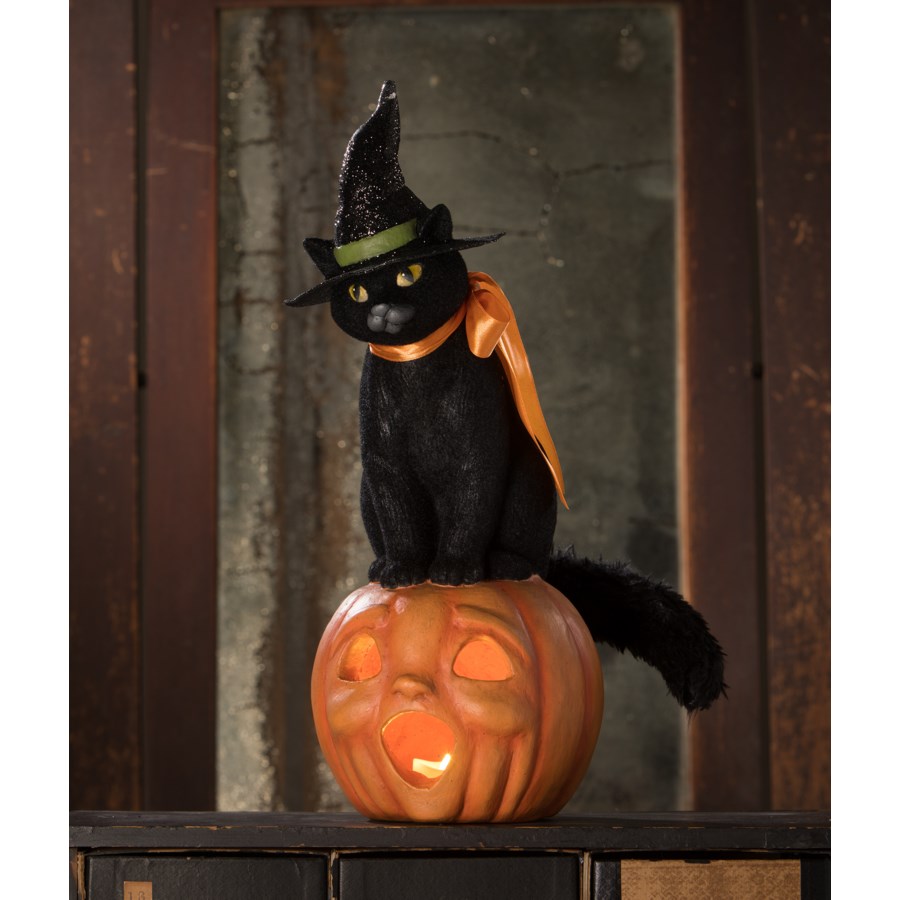 Black Cat Witch on Jack O' Lantern