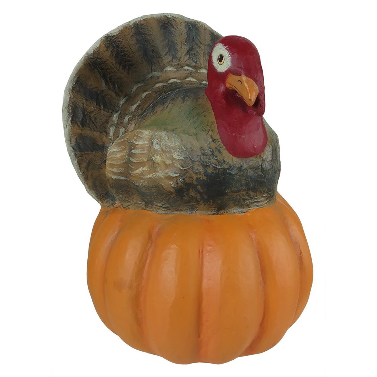 Large Turkey on Pumpkin